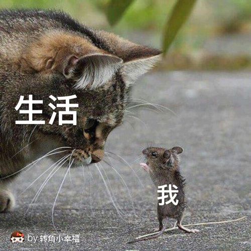 现在的生活一团糟,身体累,心更累!