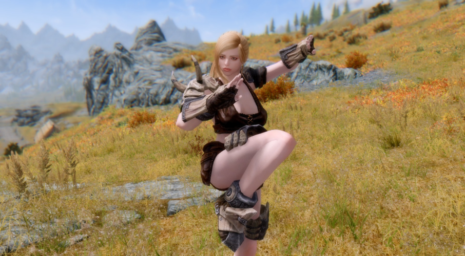 上古卷轴5武僧骑士妹子随从mod