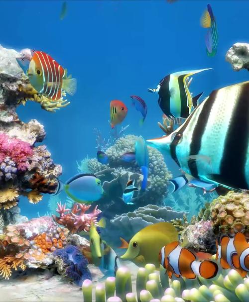 竖屏3d唯美梦幻海底世界水族馆热带鱼