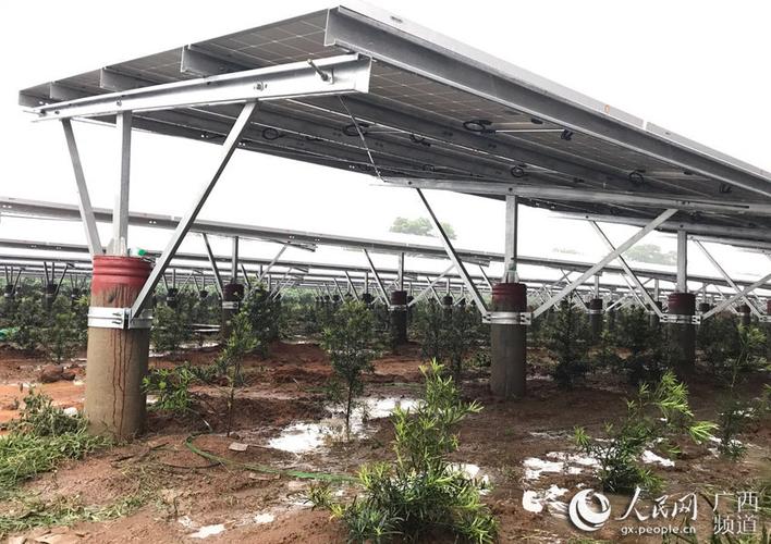 广西首个"林光互补"光伏扶贫项目落户合浦