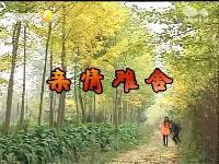 百家碎戏亲情难舍