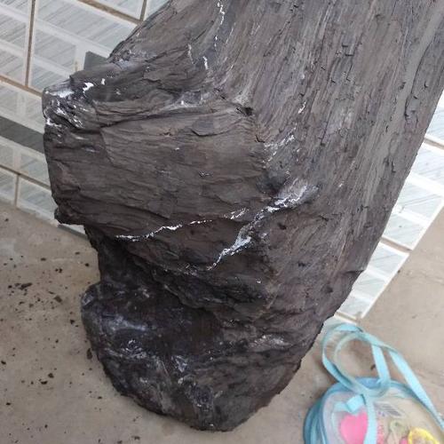 在煤矿堆里挖掘出来的,可能是化石吗?在木头