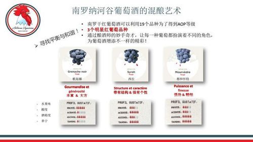【菲利宝莱】法国库力大公鸡干红葡萄酒,如高卢雄鸡般魁梧,出色而强壮