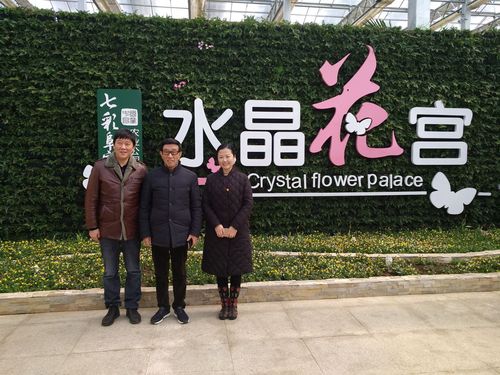 阜宁县七彩科技农业园(水晶花宫)