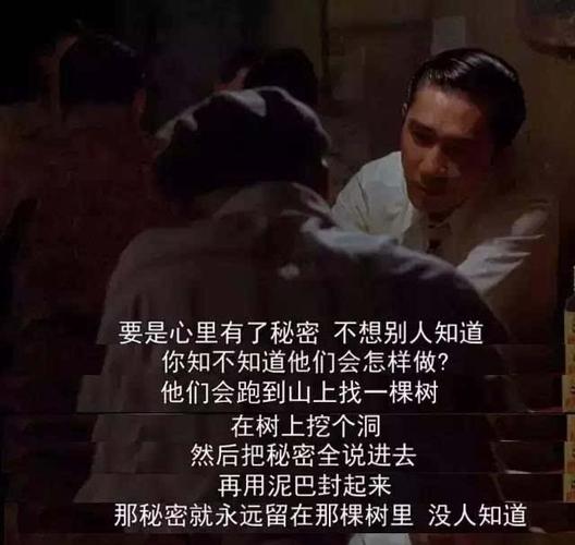 跟随梁朝伟的脚步,寻找《花样年华》的吴哥"树洞