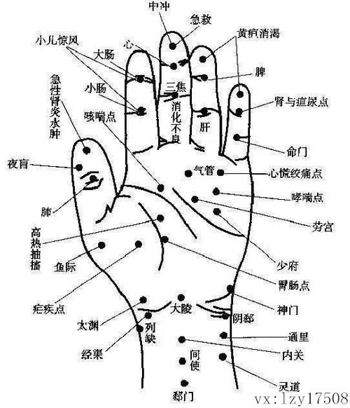 为什么从手掌上就可以看出全身的疾病