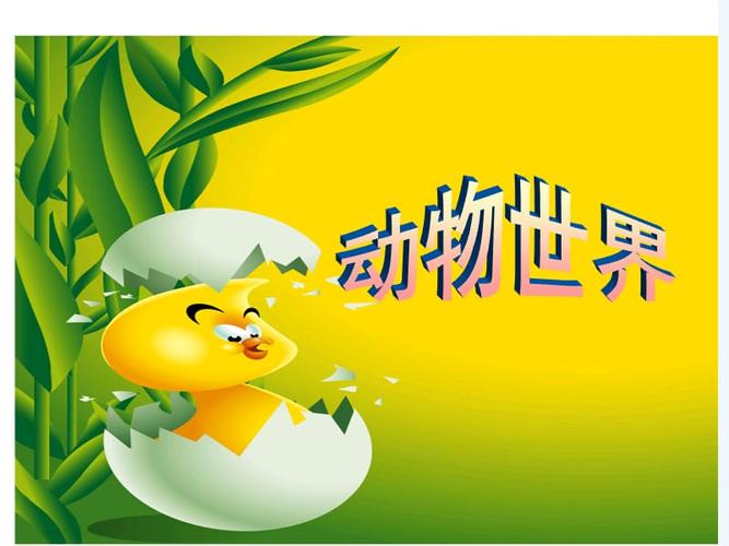 《动物世界》课件.ppt