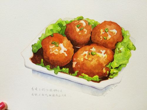 水彩美食—红烧狮子头