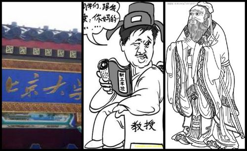 孔庆东是奴才,北大是酱缸
