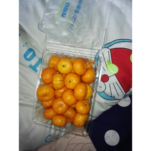 > 【苏宁生鲜】江西南丰贡桔1kg 桔子 新鲜水果商品