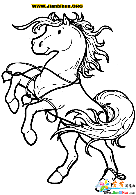 马的简笔画图片12张(第3张)