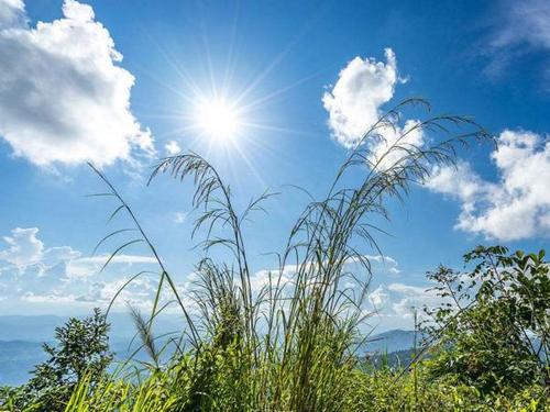 炎炎烈日火风燎,朗朗晴空碧树萧.