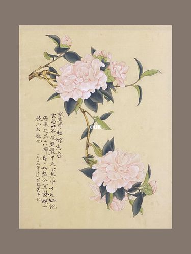 山茶花工笔国画_国画_山茶花_茶花怎么样_浙江美术馆攻略_国画_文化