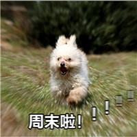 周末啦表情包带字搞笑这就是周末时的你了吧