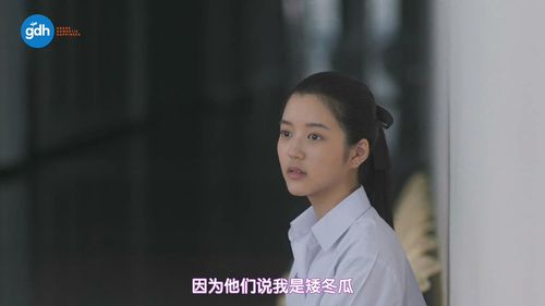 天才枪手(剧版) / 天才枪手 电视剧版 / bad genius