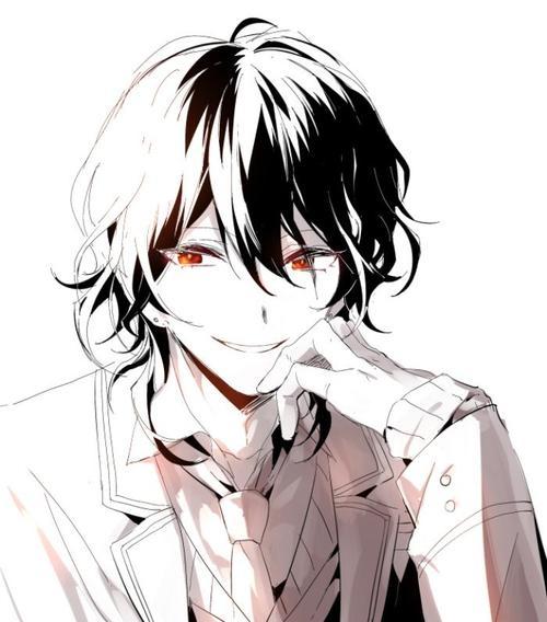 二次元男猫耳小受头像