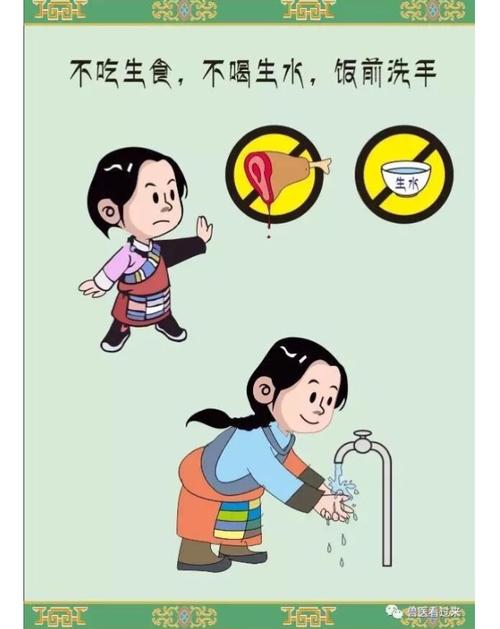 健康科普〕包虫病宣传挂图——预防包虫病,人人有责