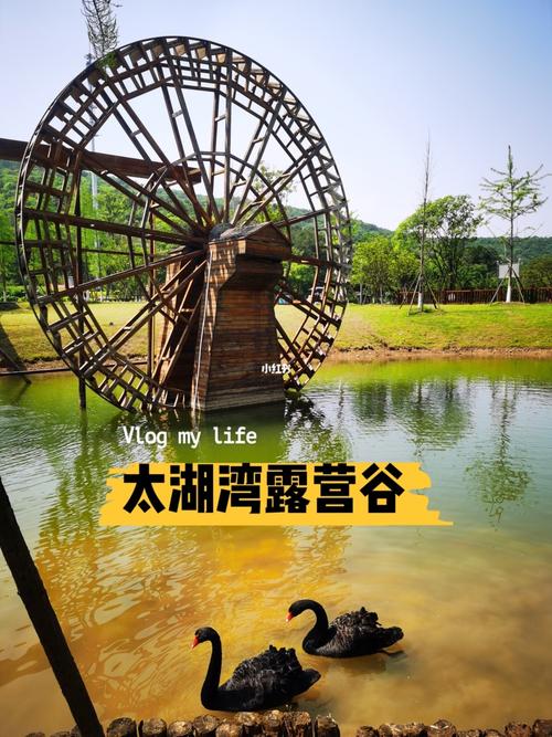 太湖湾露营谷_露营_太湖湾露营谷_小众_周边游_蘑菇_亲子_房车_江浙沪