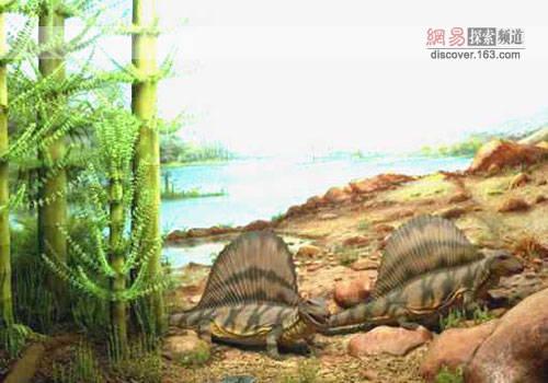 二叠纪——生物圈重大变革时期