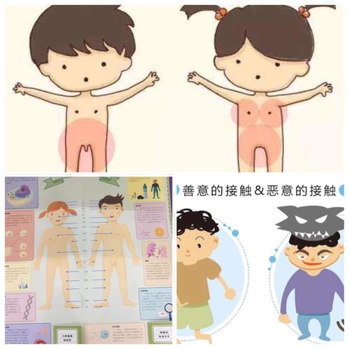 新时代启蒙幼儿园儿童安全性教育主题课--《如何保护自己的隐私部位》