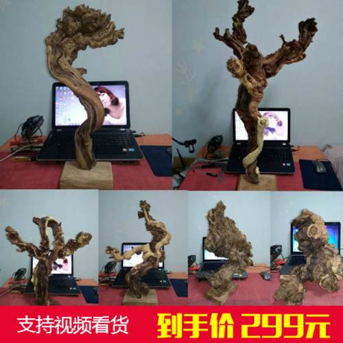 新疆沙漠胡杨木根雕摆件戈壁树根摆件天然风化枯木树根多款