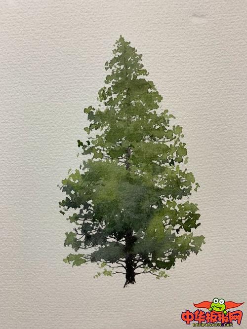 简单好看的水彩画教程,水彩松树过程