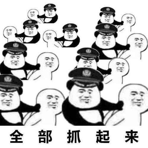 表情包:当场抓获系列