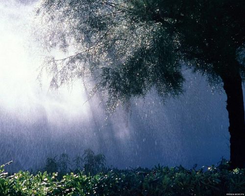 情深深雨蒙蒙唯美的雨季摄影