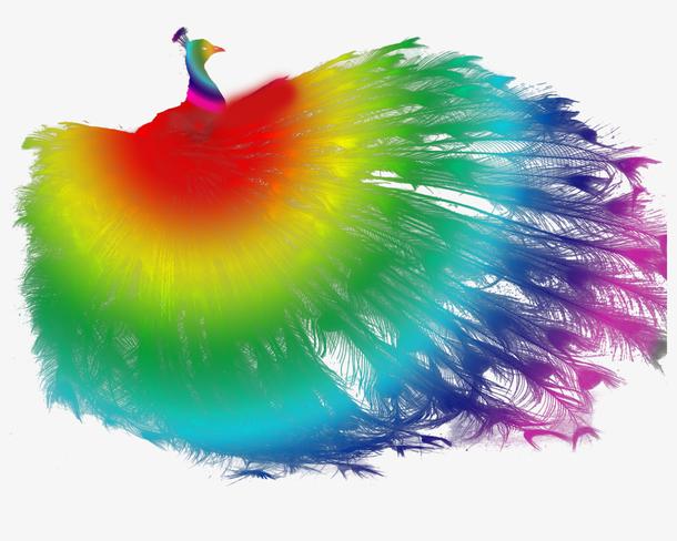关键词 : 孔雀,彩色,彩虹,矢量图,装饰,png装饰,png图形