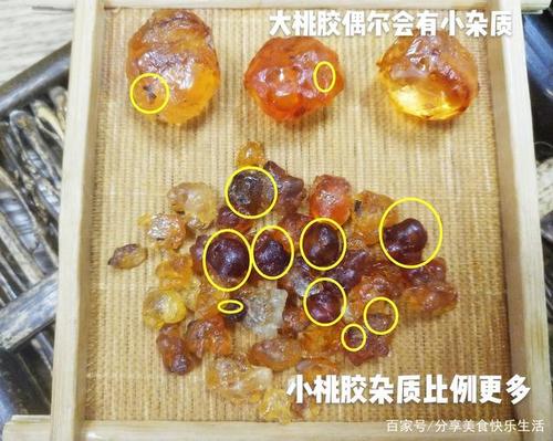 桃胶质量(真假辨别 品质性价比)优劣评判标准与价格