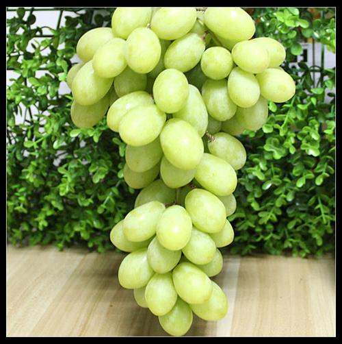 新疆马奶提子新鲜小奶油青提子 新鲜水果带箱5斤