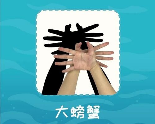 会说话的小手,能讲故事的影子——大柳行镇中心幼儿园