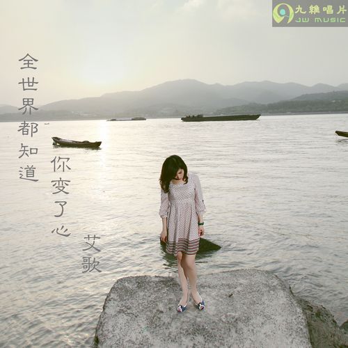 艾歌-《全世界都知道你变了心》继续着伤感,继续着感触!