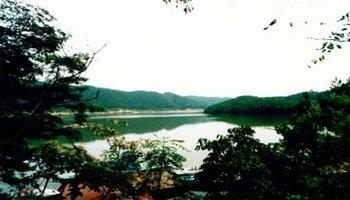 柳林风景区