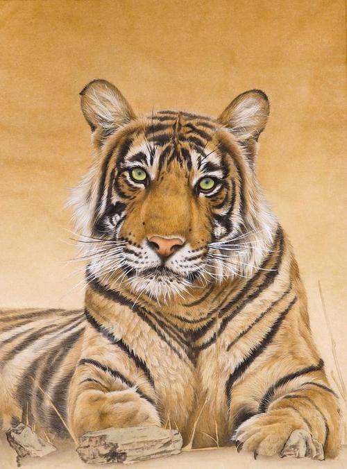 国画 老虎绘画过程分享