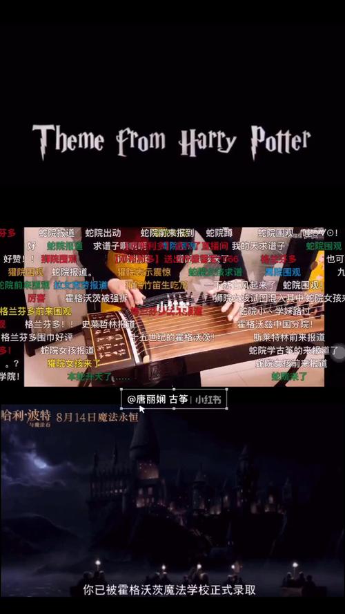14各院女孩来集合啦|哈利波特主题曲古筝_哈利波特