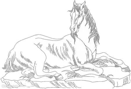 简笔画之如何画马