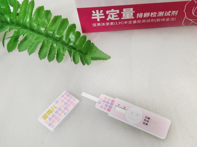 金秀儿半定量转弱抓紧时间同房,有金秀儿备孕不做无用