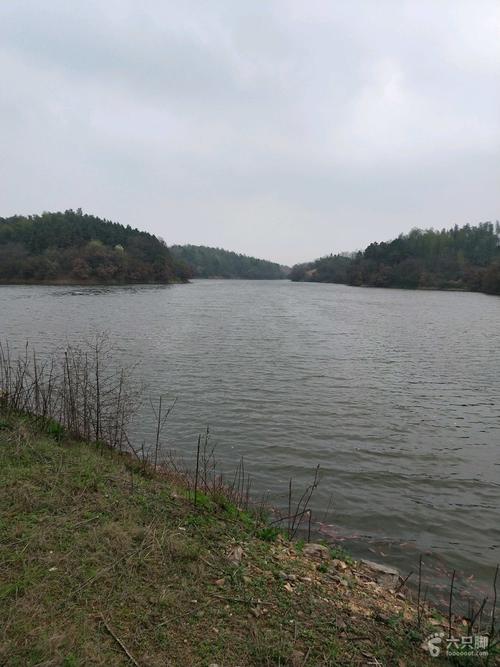 松阳湖尾叉