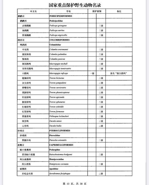 图(国家重点保护野生动物名录--鸟纲篇)新版《国家重点保护野生动物