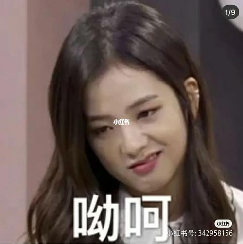 jisoo表情包(一)_表情包_jisoo_素材_表情包