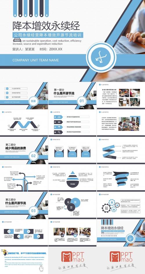 公司永续经营降本增效开源节流培训ppt