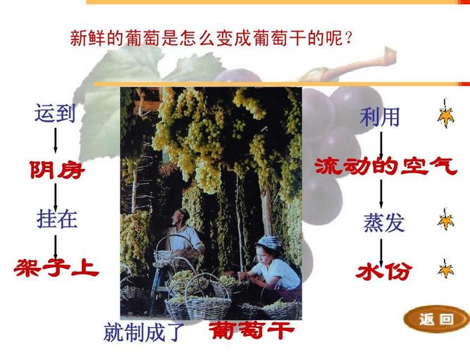 你可能喜欢 人教版二年级下册《日月潭》ppt 葡萄沟教学设计 邮票齿孔