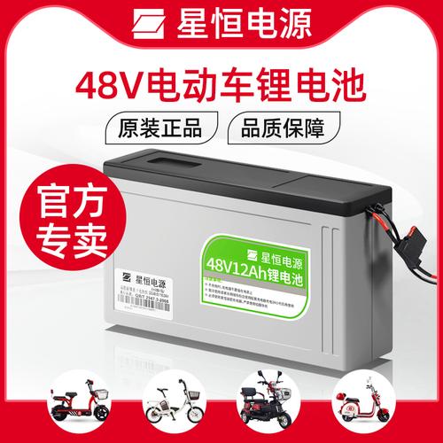 锂电池星恒电源新日爱玛雅迪捷安特电动车锂电池48v