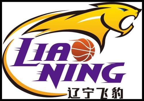 2017辽宁男篮"拥豹未来"篮球夏令营等你来!