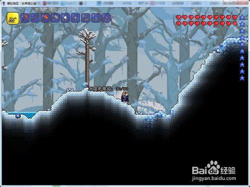 泰拉瑞亚terraria:[1]地图地形