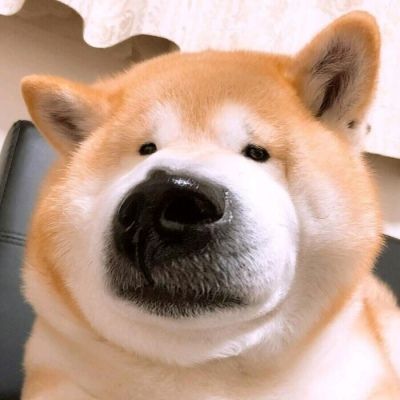 微信沙雕头像 过度妄想