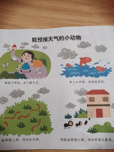 《能预报天气的小动物》大六班