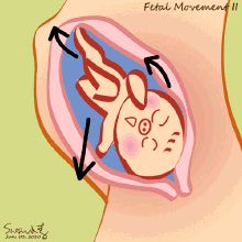 胎动早的孩子不是皮猴就是聪明,真的吗?