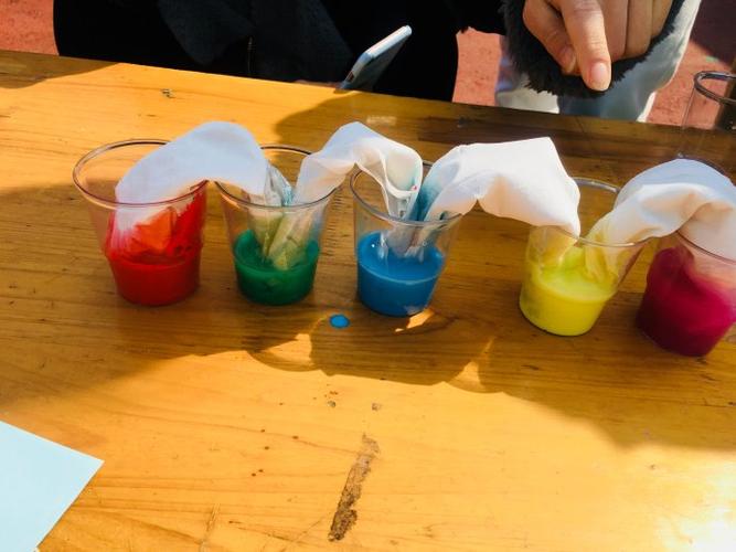 科学小实验《色彩搬家》的实践尝试